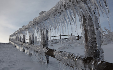 참으로 오랫만에 빙화가 오셨습니다.