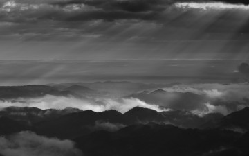 빛내리든 날에.....