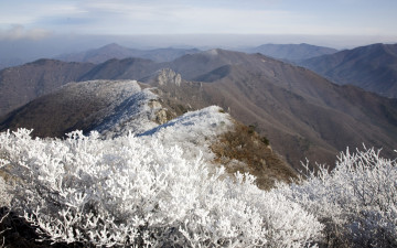 영남알프스 가지산