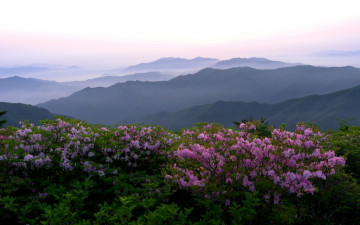 곱디고운 덕유입니다.