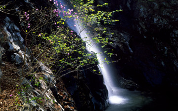 영남 알프스의 봄