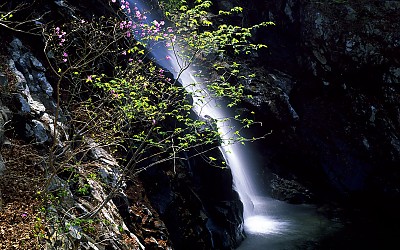 영남 알프스의 봄