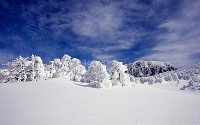 한라산모음 1
