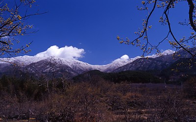 산동의 봄