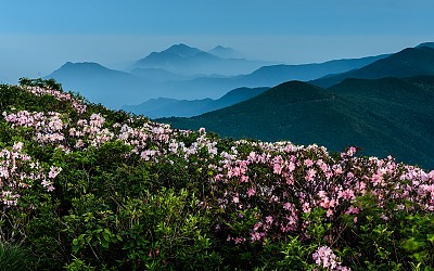 아름다운 산하