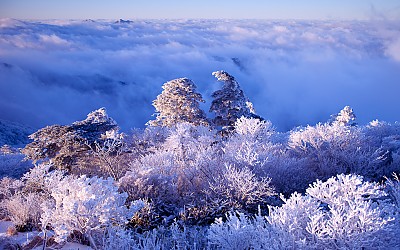 아직 겨울은 끝나지 않았습니다.