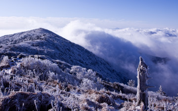 역동적인 상선대