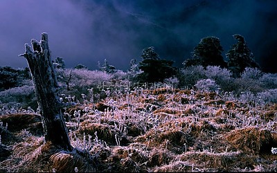 덕유산 서릿발