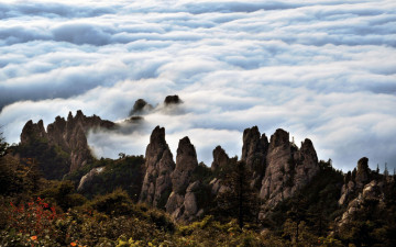 설악용아의 운해