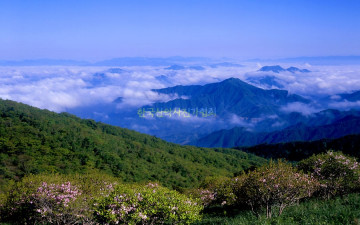 소백산雲海