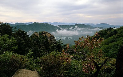 속리산의 봄