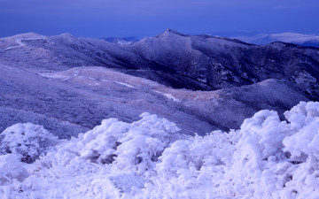 영남 알프스의 겨울