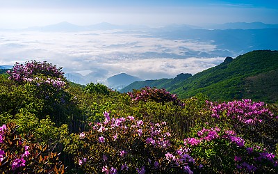 신불산