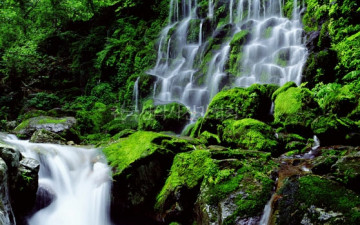 지리산 뱀사골 이끼폭포