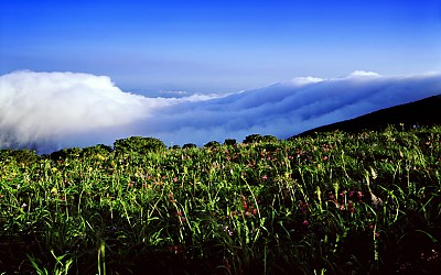 지리산 노고단 / 산상의 쓰나미