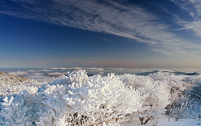 아름다운 산하.