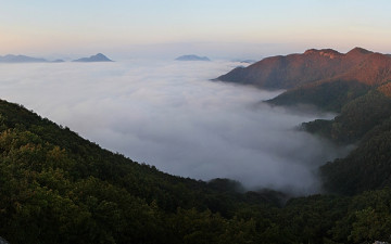 많으면 많은대로...