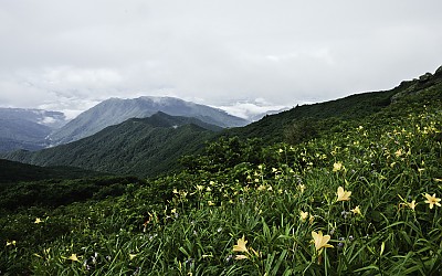 완츄리