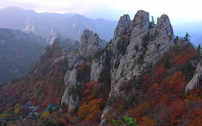 설악의 단풍.