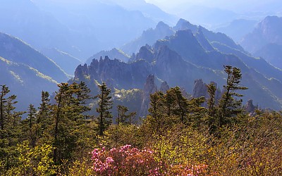 설악산의 봄