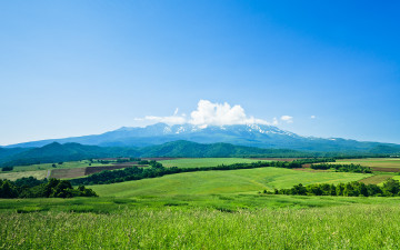 일본 대설산 다녀왔습니다.