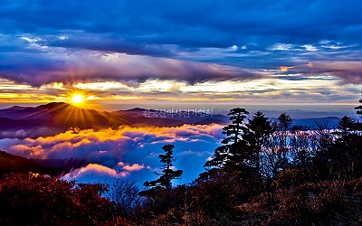 지리산/천의얼굴