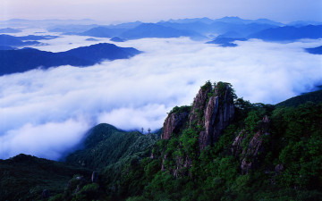 장군봉의 새벽 신록