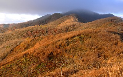 산의 미