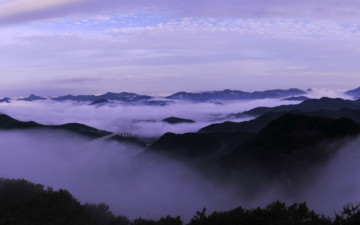 가입인사드립니다