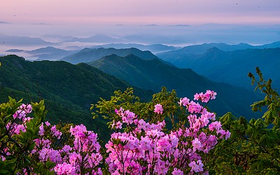 운장산 봄