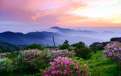 지리의봄