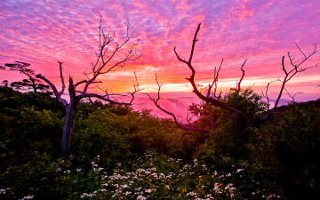 2010-개인전 보라 그것이 아주 좋았다! 모아서 다시 포스팅 합니다.