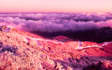 2010-개인전 보라 그것이 아주 좋았다!  톤보정하고 모아서 다시 포스팅 합니다.-3