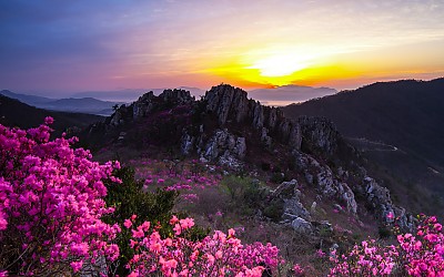 주작산 댕겨왔습니다.