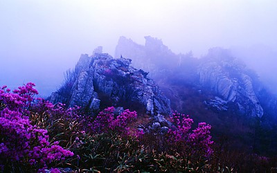 주작산
