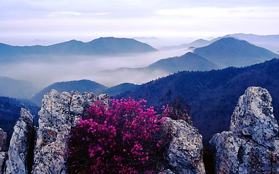 주작산