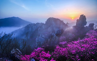 주작산의 아침