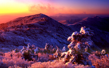 새해 복 많이 받으십시오