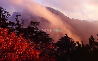 추석 전날 석양