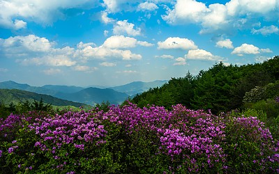 바래봉의 오후