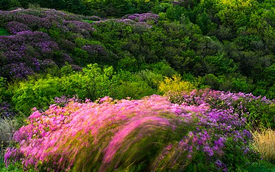 바람과 빛