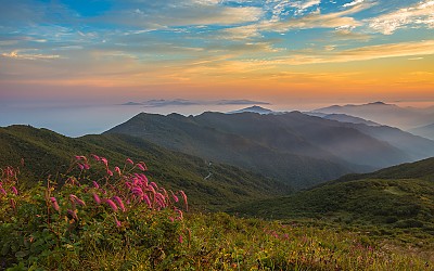 지리산오이풀