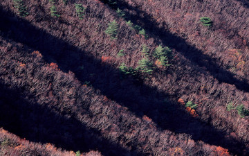 영남알프스 천성산의 봄