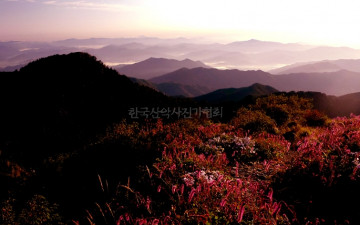 3년을  연속으로 실패한 사진..