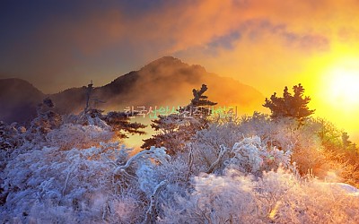 제석에 붙은 불은