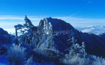 하늘이 울어도 울지 않는 뫼..