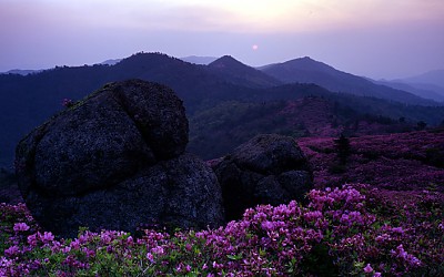 남녘의 산
