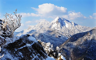 春雪