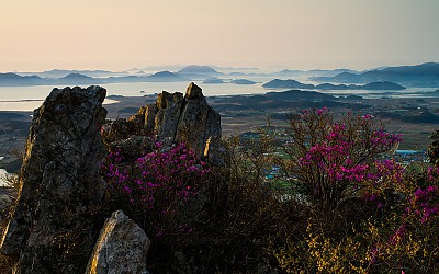 남도의 봄