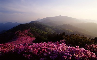 봉화산